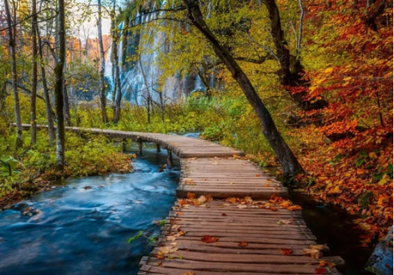 PUZZLE 1000PC AUTUMN WOOD TRAIL