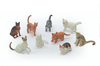 Cat World 9Pc