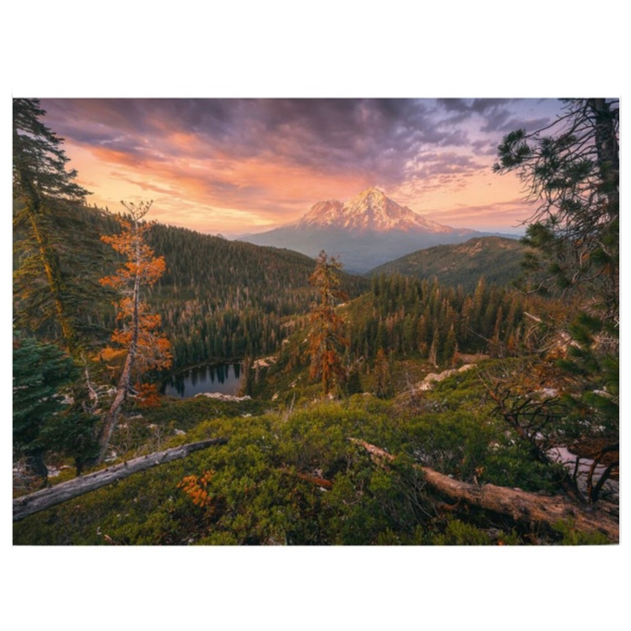 PUZZLE 4X500PC FOUR SEASONS