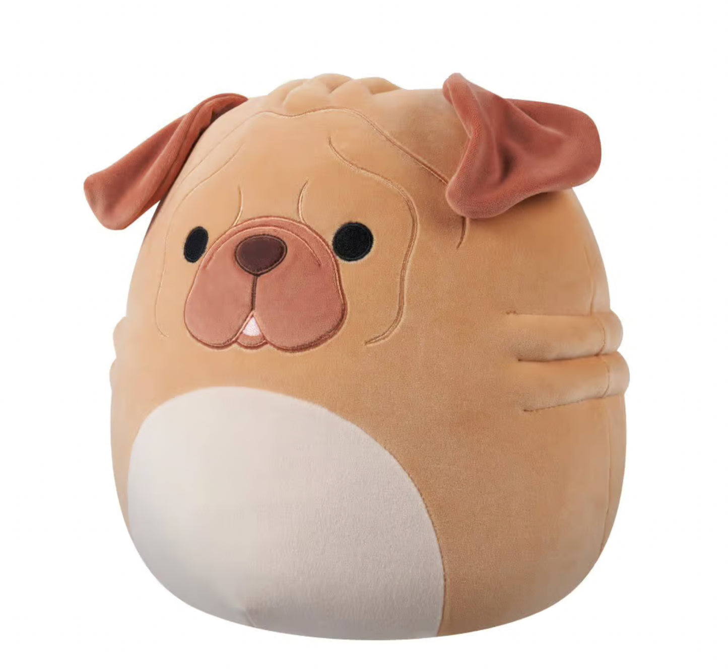 SQUISHMALLOWS 12 MASTER B MORTON