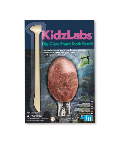 KIDS LABS SHARK TOOTH FOSSIL GID