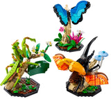 LEGO 21342 IDEAS THE INSECT COLLECTION