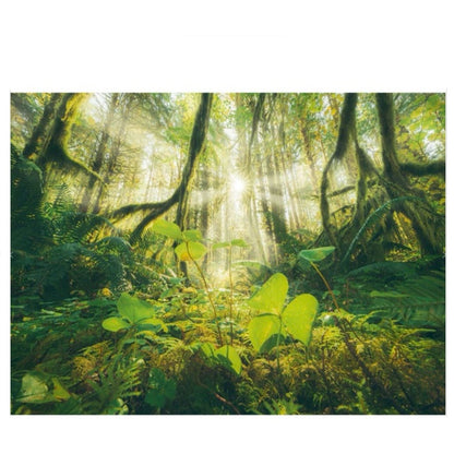 PUZZLE 4X500PC FOUR SEASONS