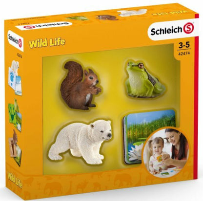 Schleich 42474 Wild Life Flash Cards