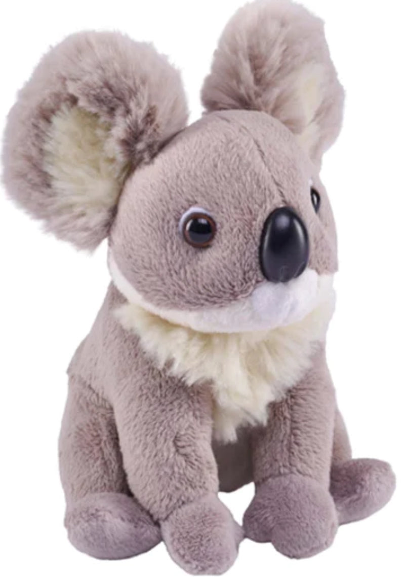 WILD POCKETKINS KOALA