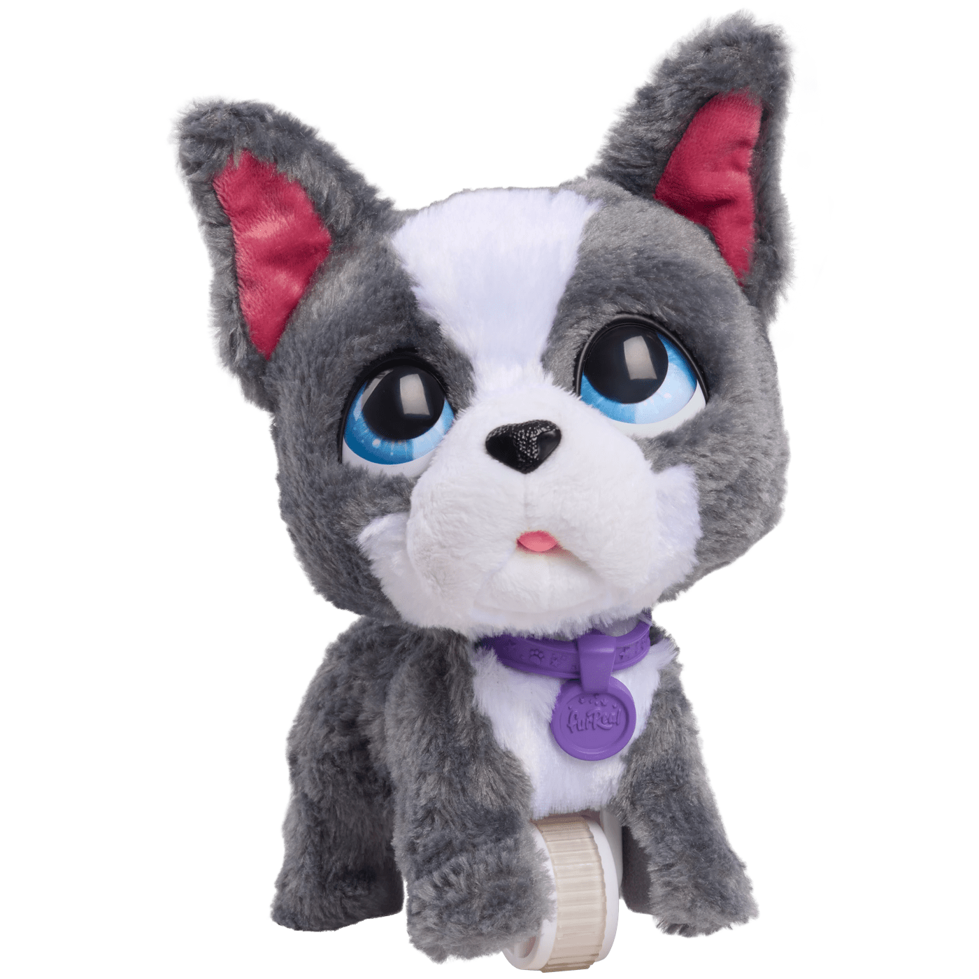 FRR FUR REAL WALK A LOTS FRENCH BULLDOG