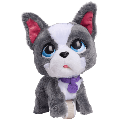 FRR FUR REAL WALK A LOTS FRENCH BULLDOG