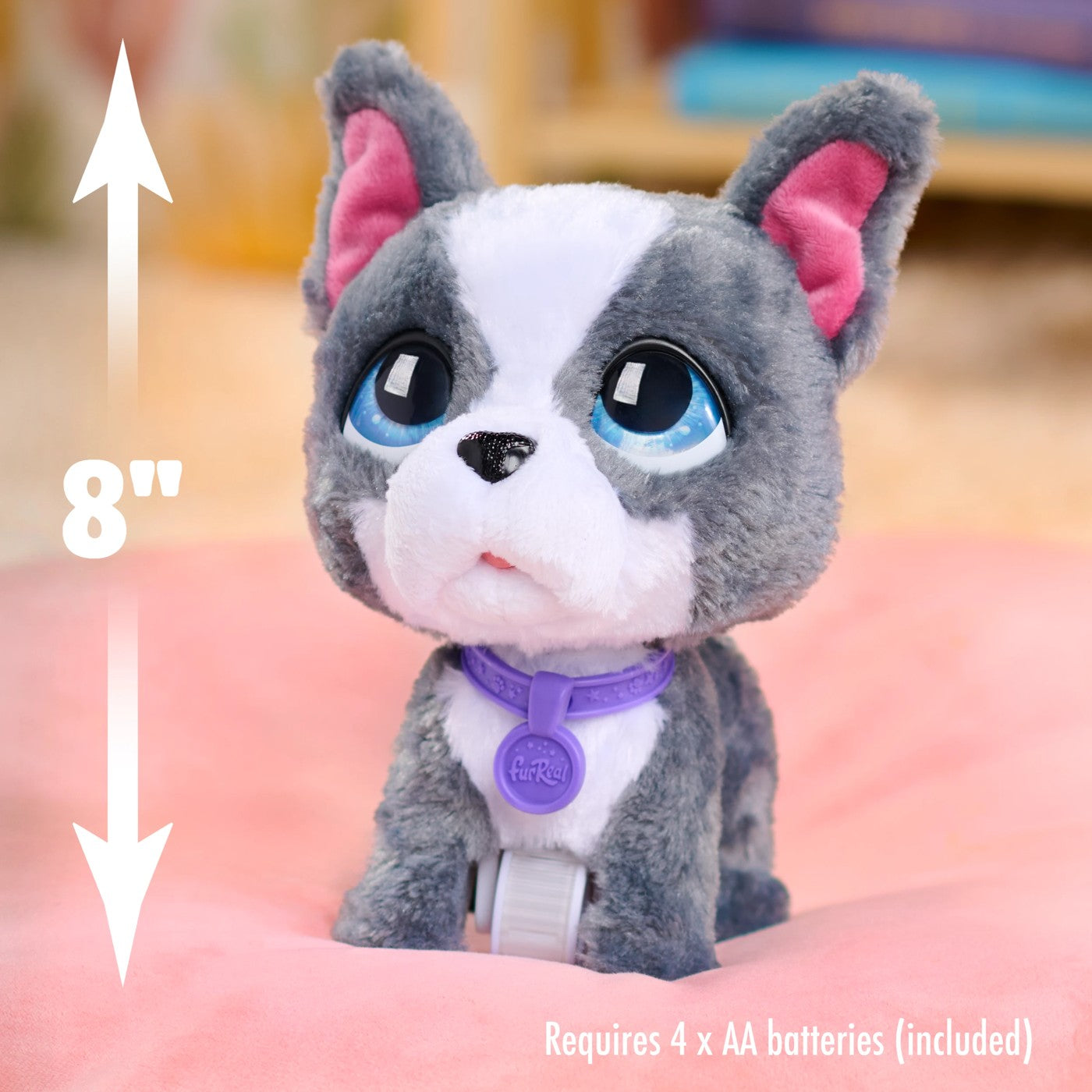 FRR FUR REAL WALK A LOTS FRENCH BULLDOG