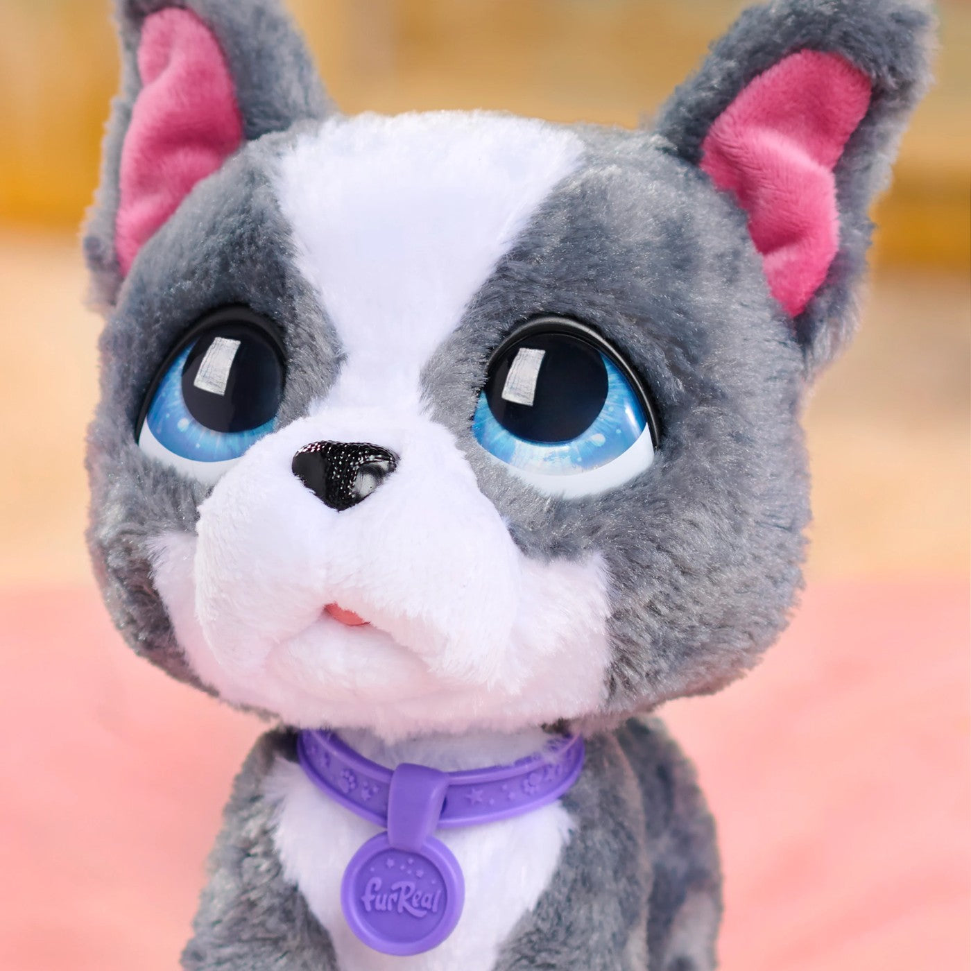 FRR FUR REAL WALK A LOTS FRENCH BULLDOG