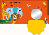 BOOK WHERE'S MR LION FELT FLAPS