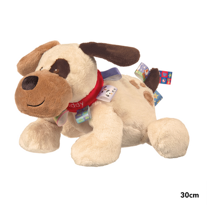 PLUSH MARY MEYER TAGGIES BUDDY DOG