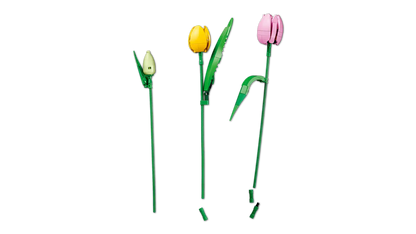 LEGO 11501 BOTANICALS TULIP BOUQUET