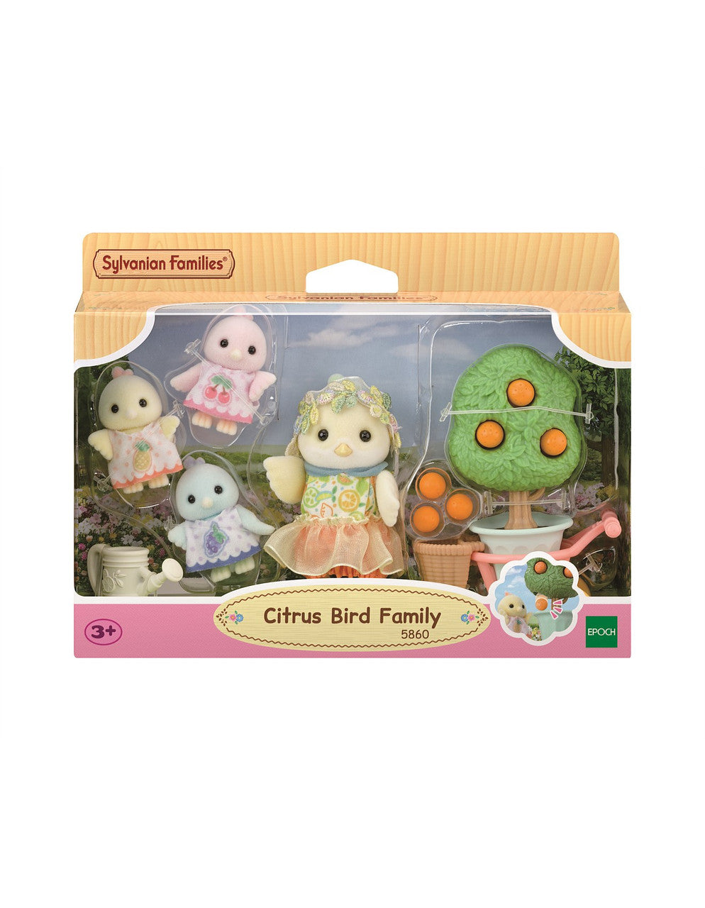 SYL/F CITRUS BIRD FAMILY