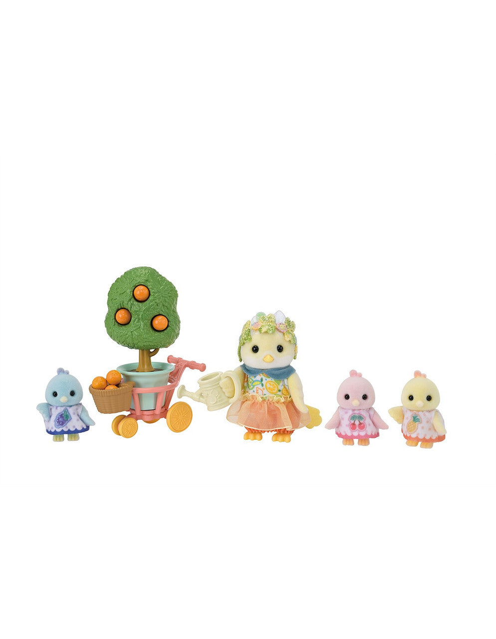 SYL/F CITRUS BIRD FAMILY