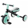 GLOBBER LEARNING TRIKE MINT