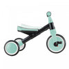 GLOBBER LEARNING TRIKE MINT