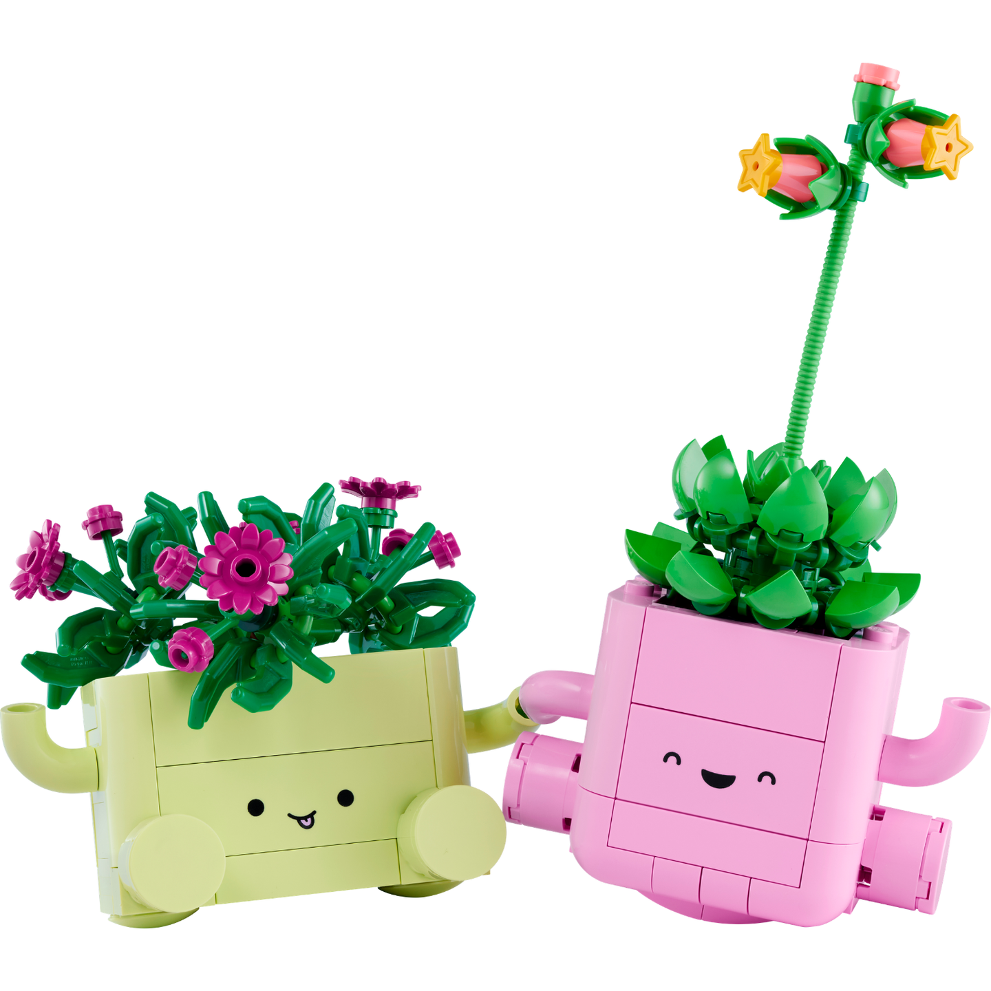 LEGO 11506 BOTANICALS ROCKING PLANTS