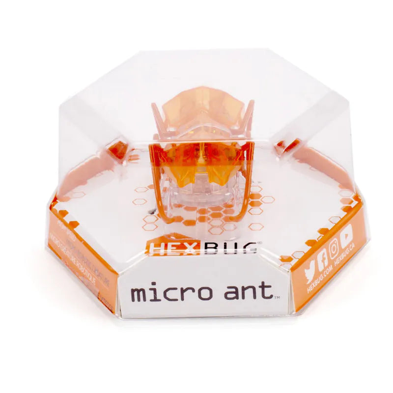 HEX BUG MICRO ANT ASSTD