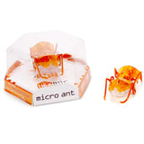 HEX BUG MICRO ANT ASSTD