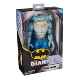 BATMAN 12" TITANS FIGURE AST