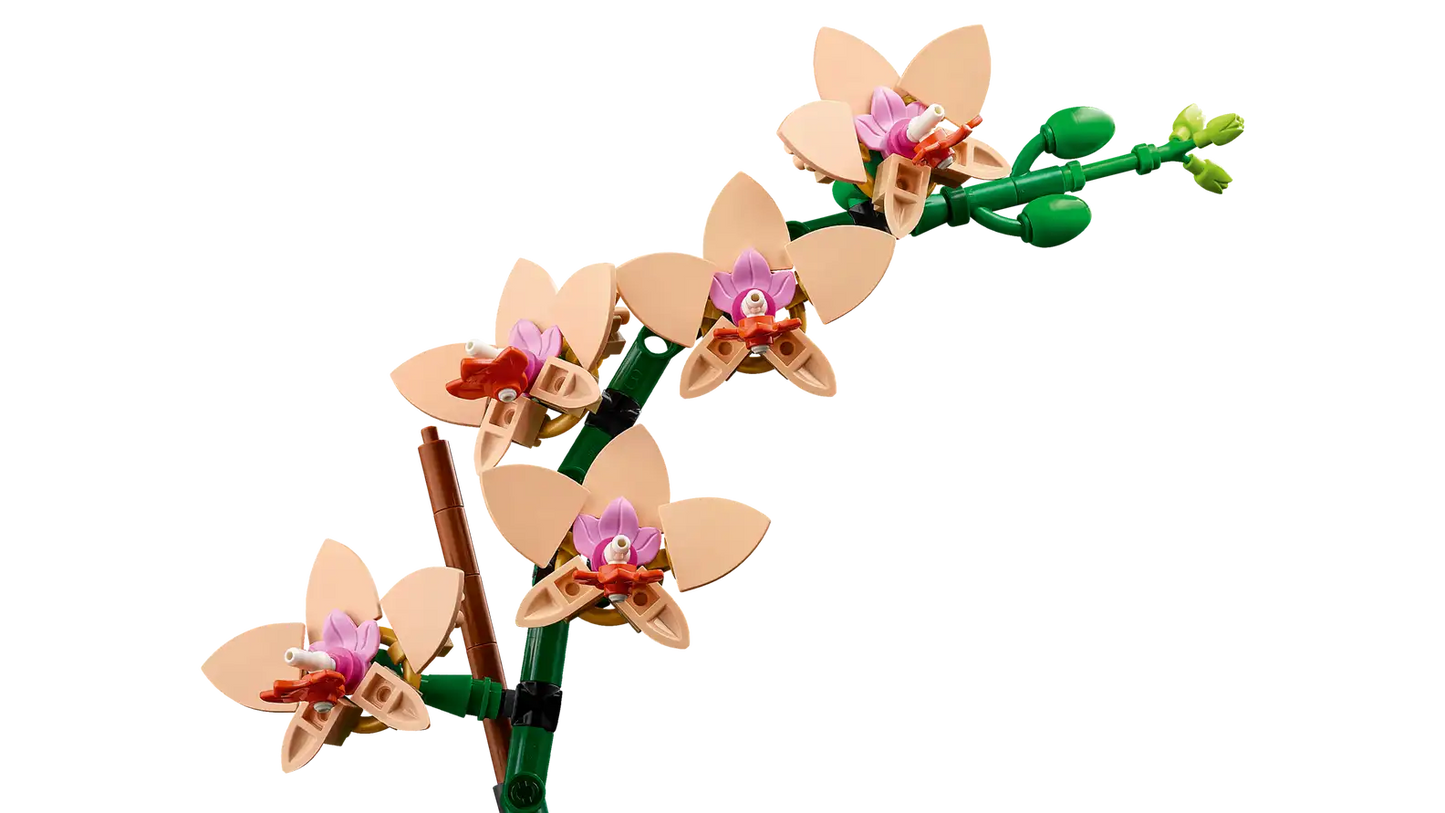 LEGO 10343 BOTANICALS MINI ORCHID