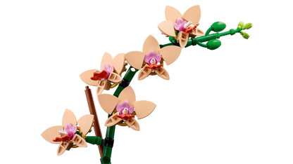 LEGO 10343 BOTANICALS MINI ORCHID