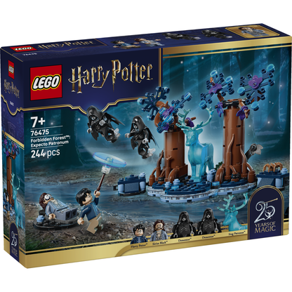 LEGO 76475 HP FORBIDDEN FOREST