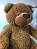 ELKA BEAR TILLY 80CM BROWN