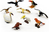 BIRD WORLD 9PC