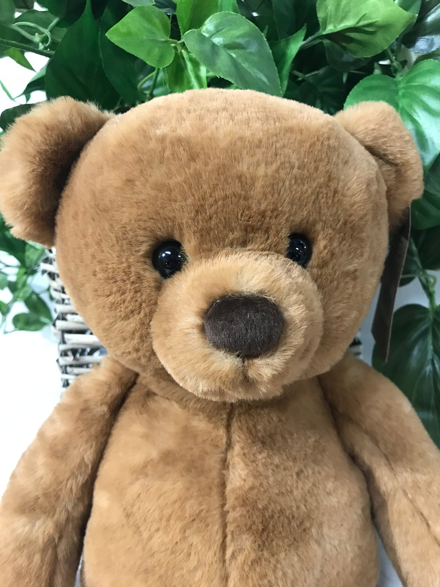 PLUSH BEAR CHARLIE 39CM