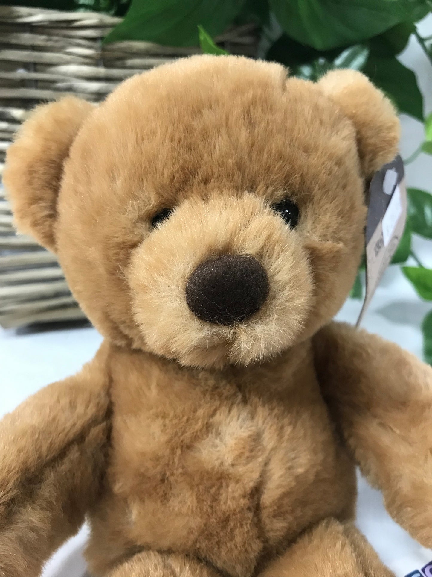 BEAR CHARLIE 23CM