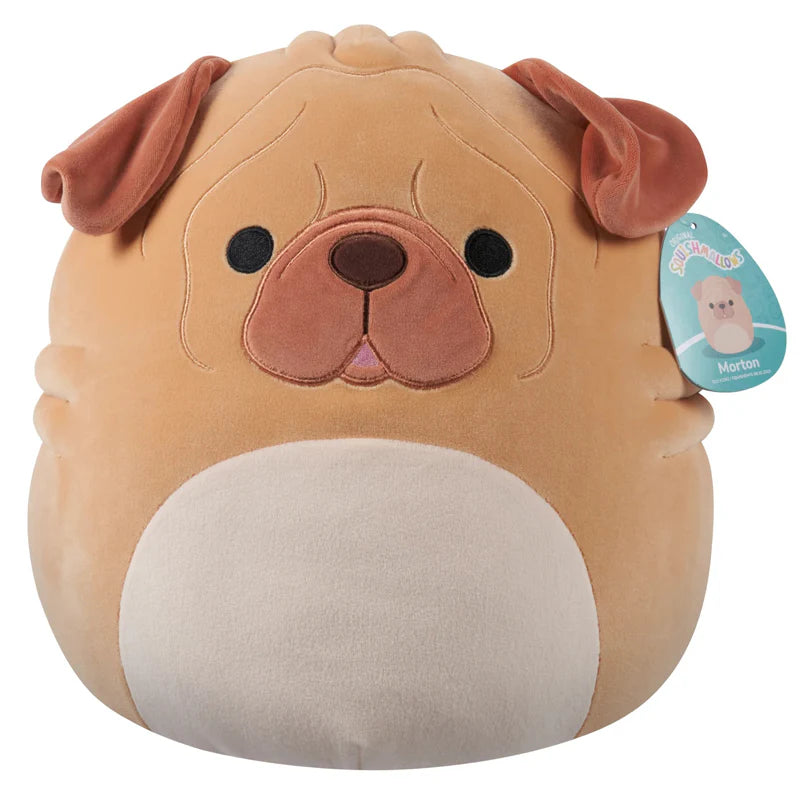 SQUISHMALLOWS 12 MASTER B MORTON