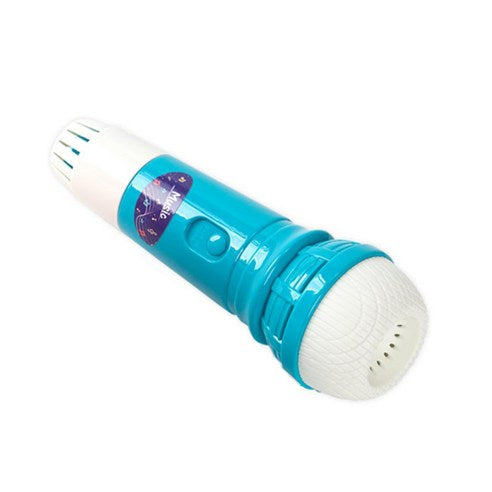 ECHO MUSICAL MICROPHONE