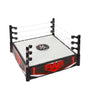 WWE SUPERSTAR RING 2024