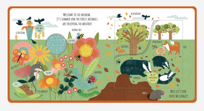 Book Peek Inside The Wild