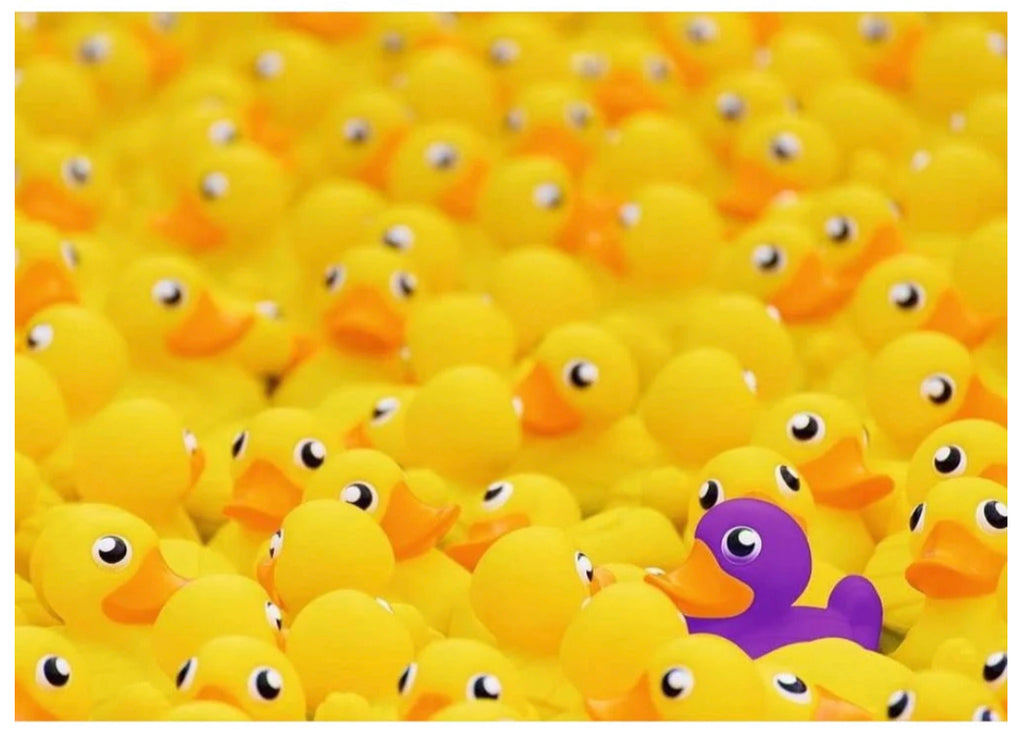 PUZZLE 1000PC RUBBER DUCKS