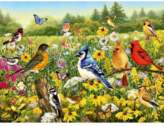 PUZZLE 500 PC BIRDS IN THE MEADOW