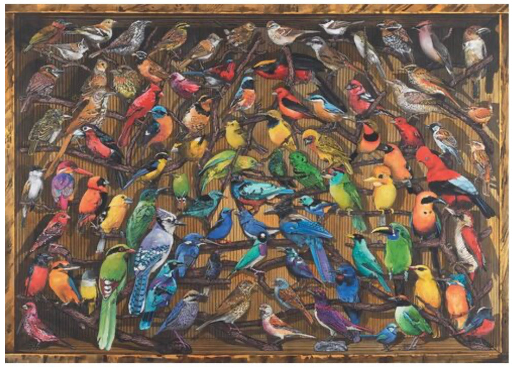 PUZZLE 1000PC RAINBOW OF BIRDS