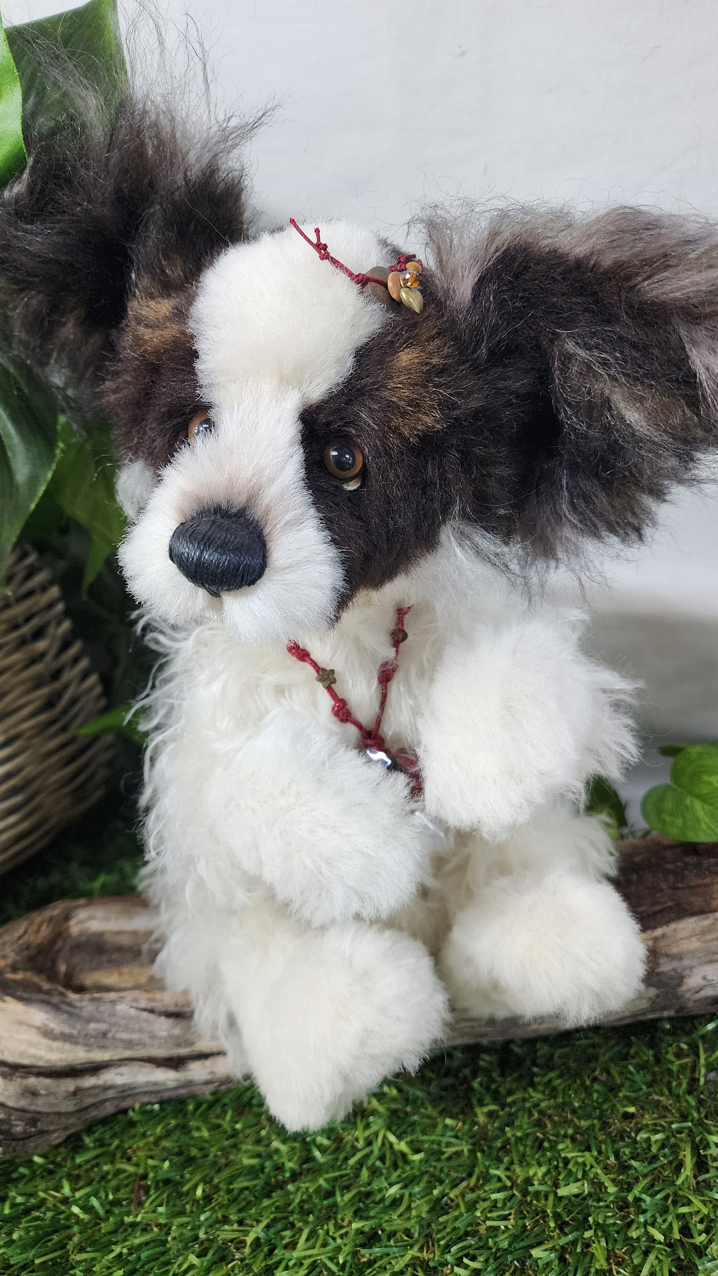 2026 ISABELLE COLLECTION TRIXIBELLE