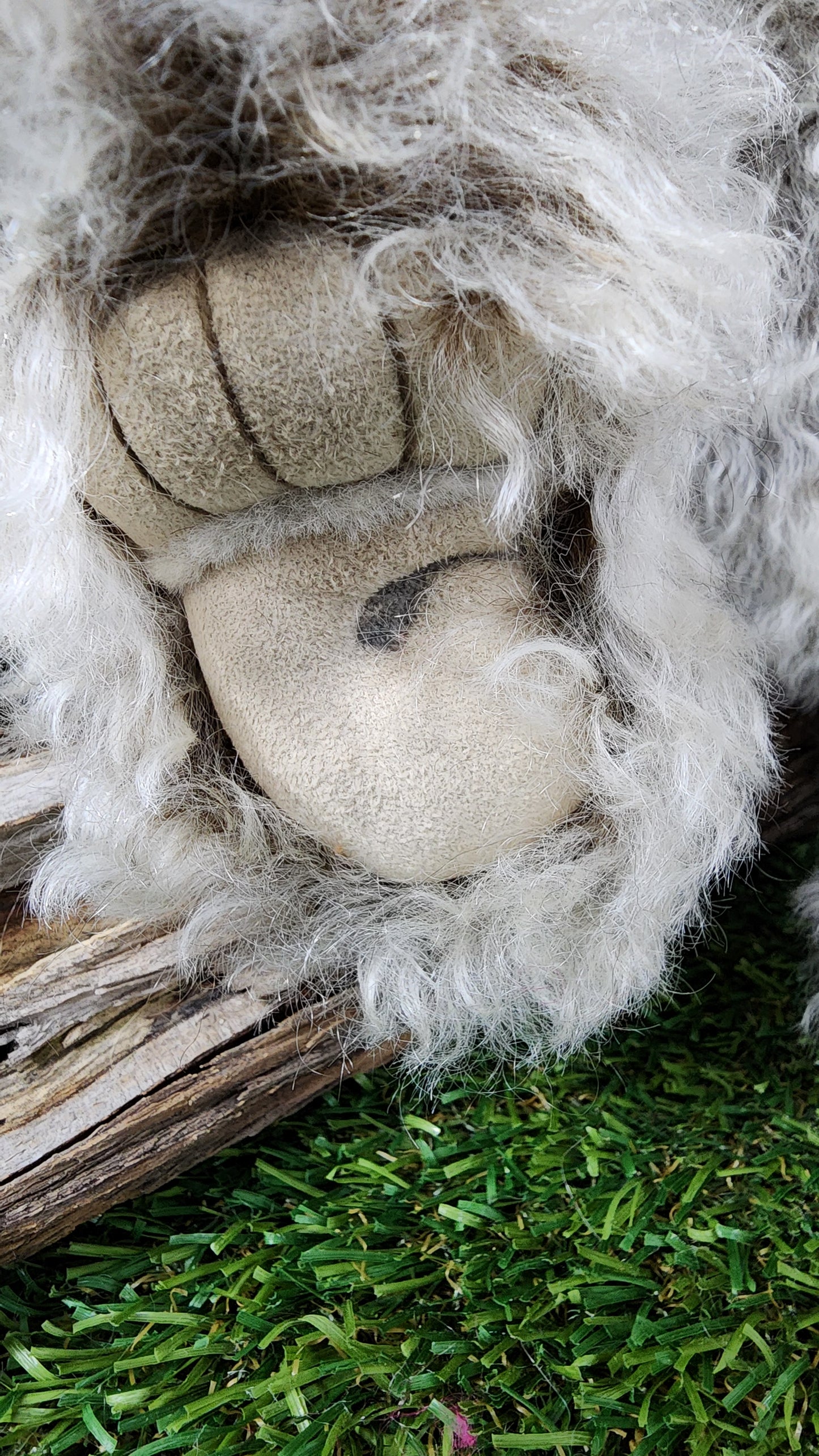 2025 ISABELLE COLLECTION MRS WILLIAMS