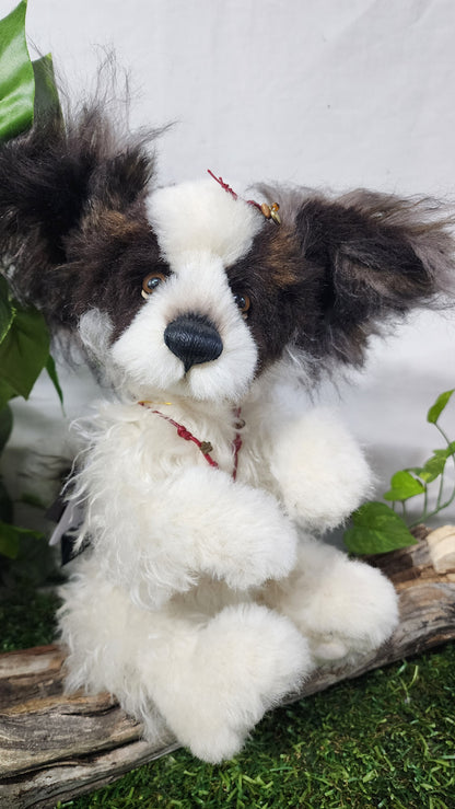 2026 ISABELLE COLLECTION TRIXIBELLE