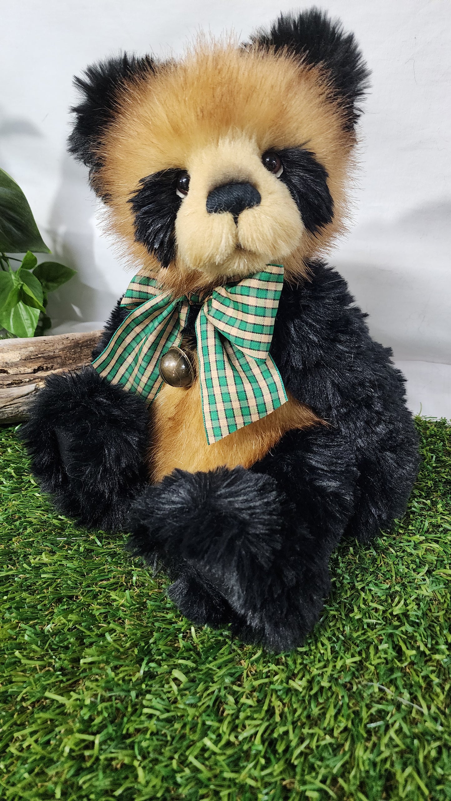 2026 CHARLIE BEAR COLLINS