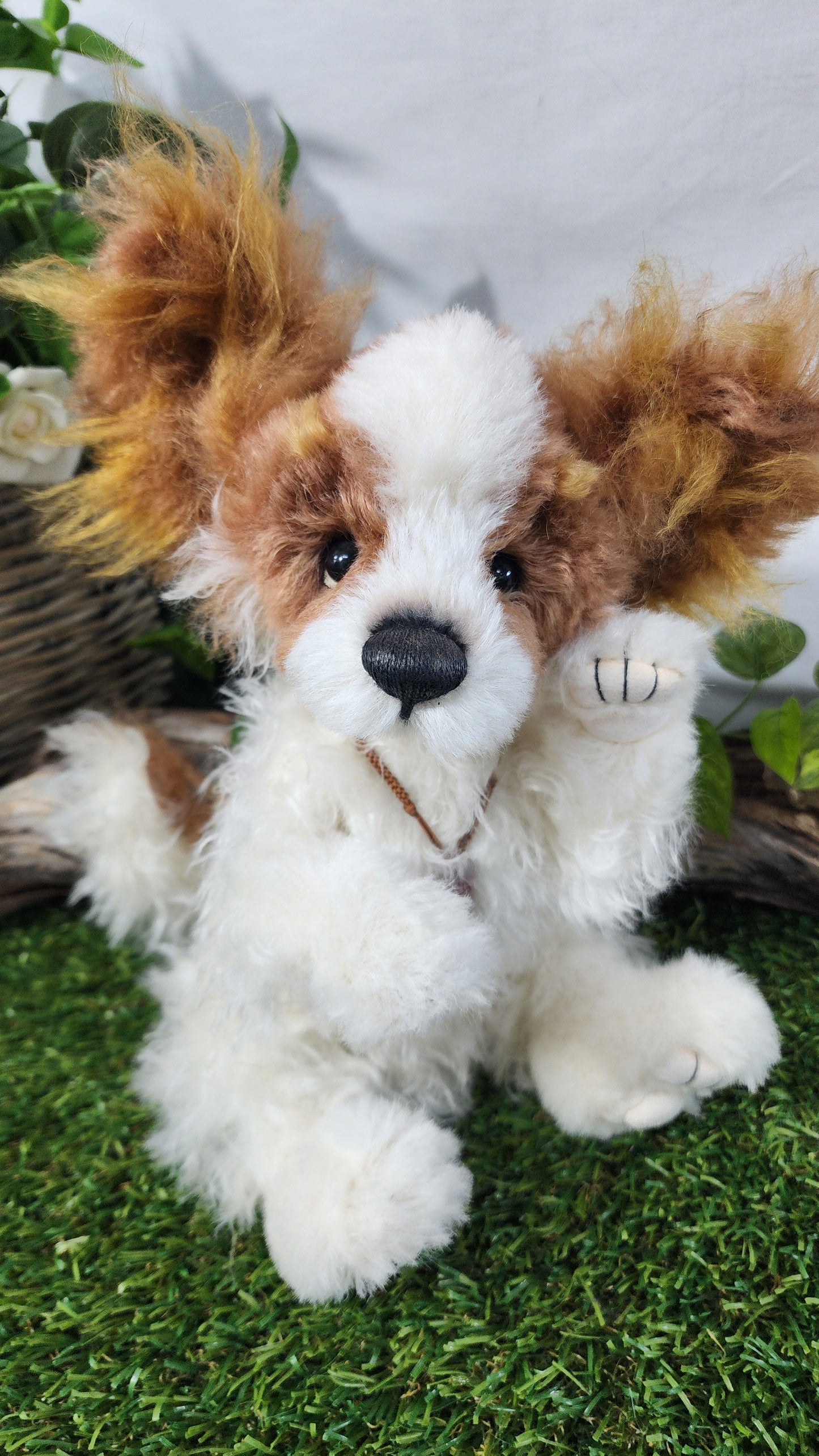 2026 ISABELLE COLLECTION MUNCHKIN