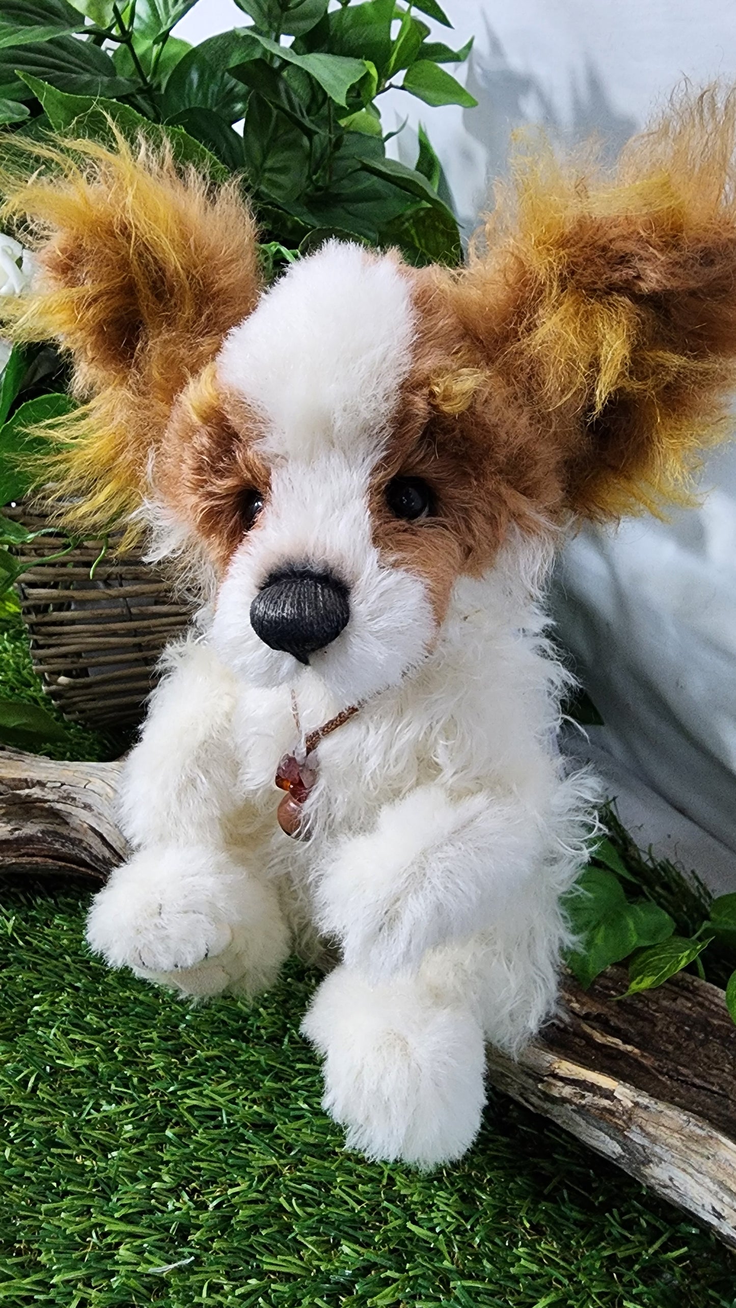 2026 ISABELLE COLLECTION MUNCHKIN