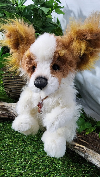 2026 ISABELLE COLLECTION MUNCHKIN