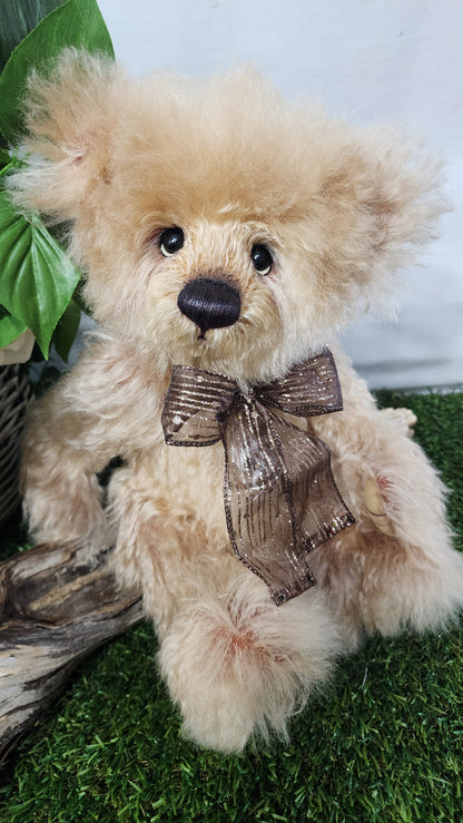 2026 ISABELLE COLLECTION TIMMS