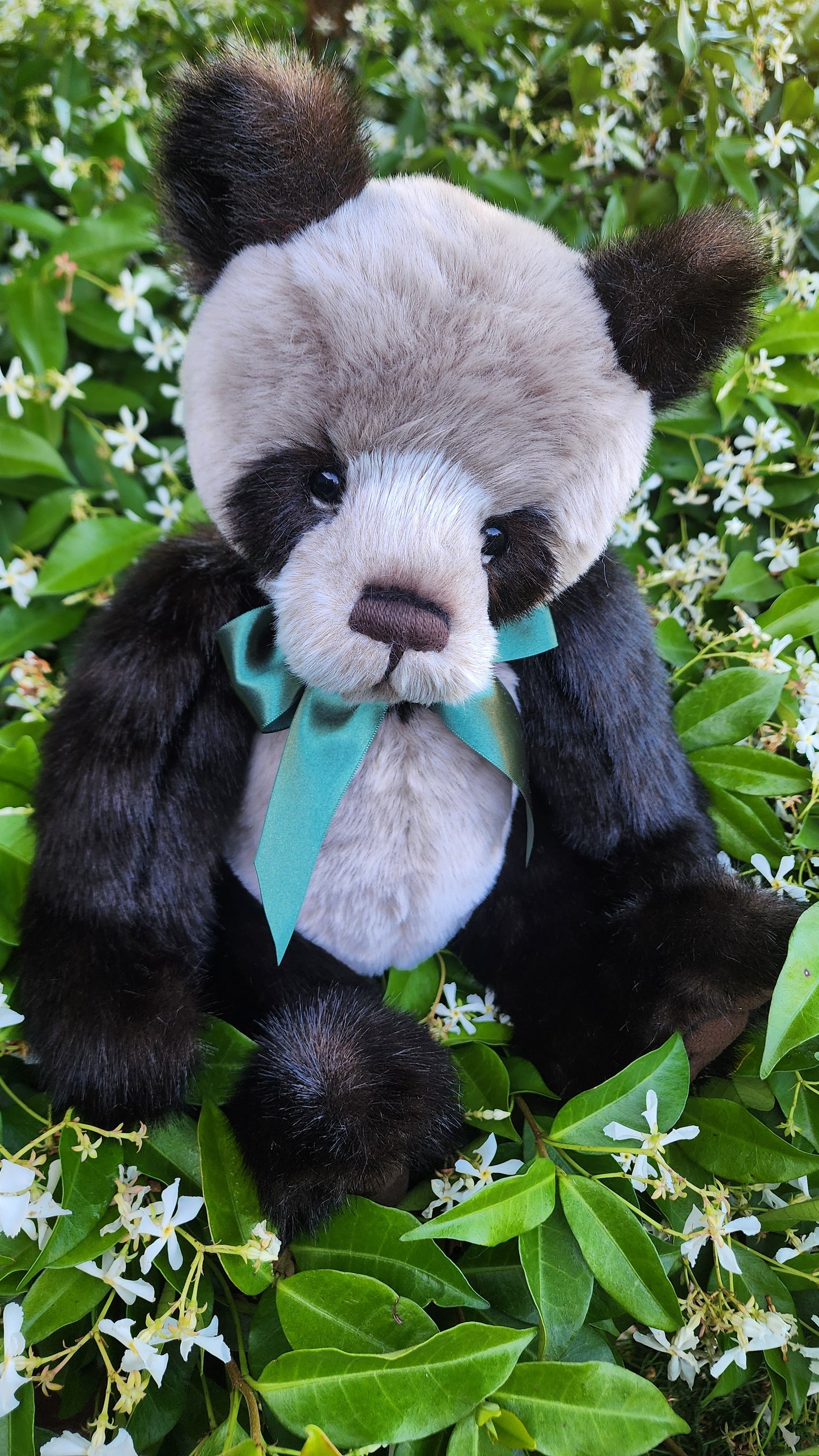 2025 CHARLIE BEARS BOTWOOD