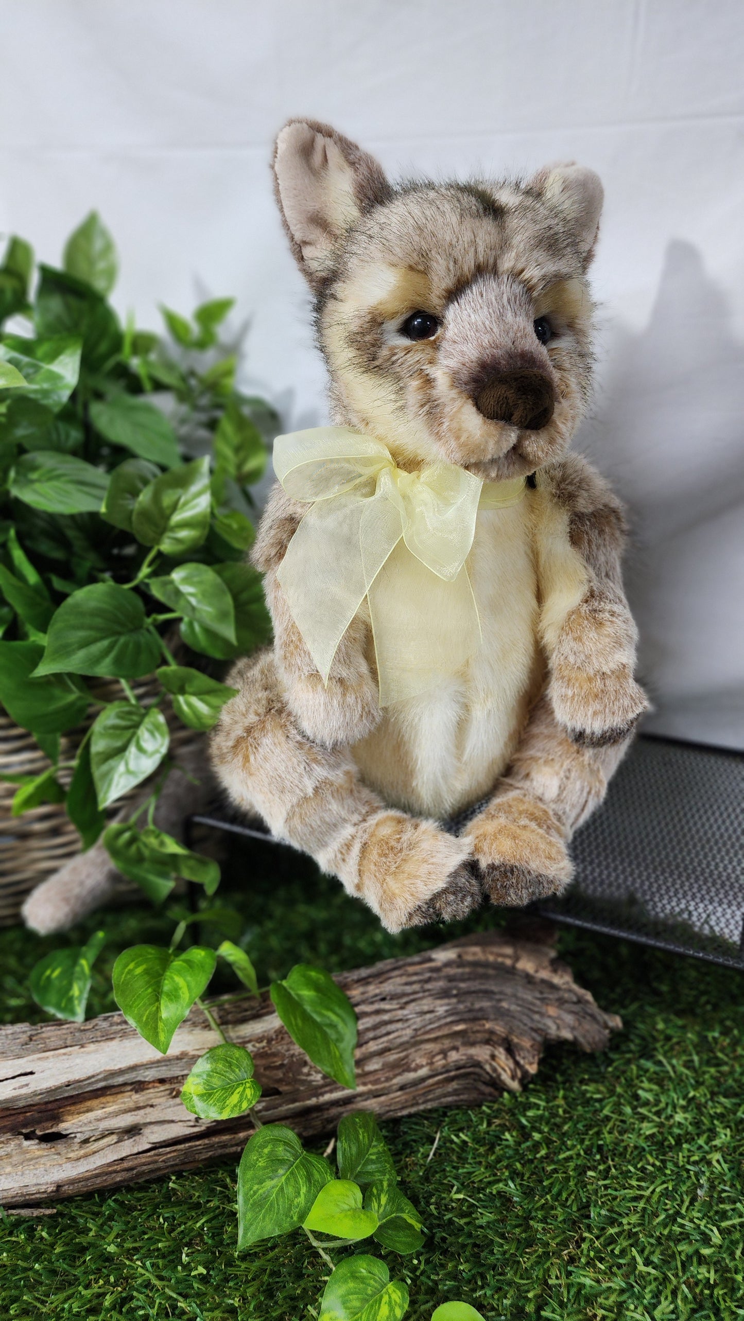 CHARLIE BEAR AUSTRALIA