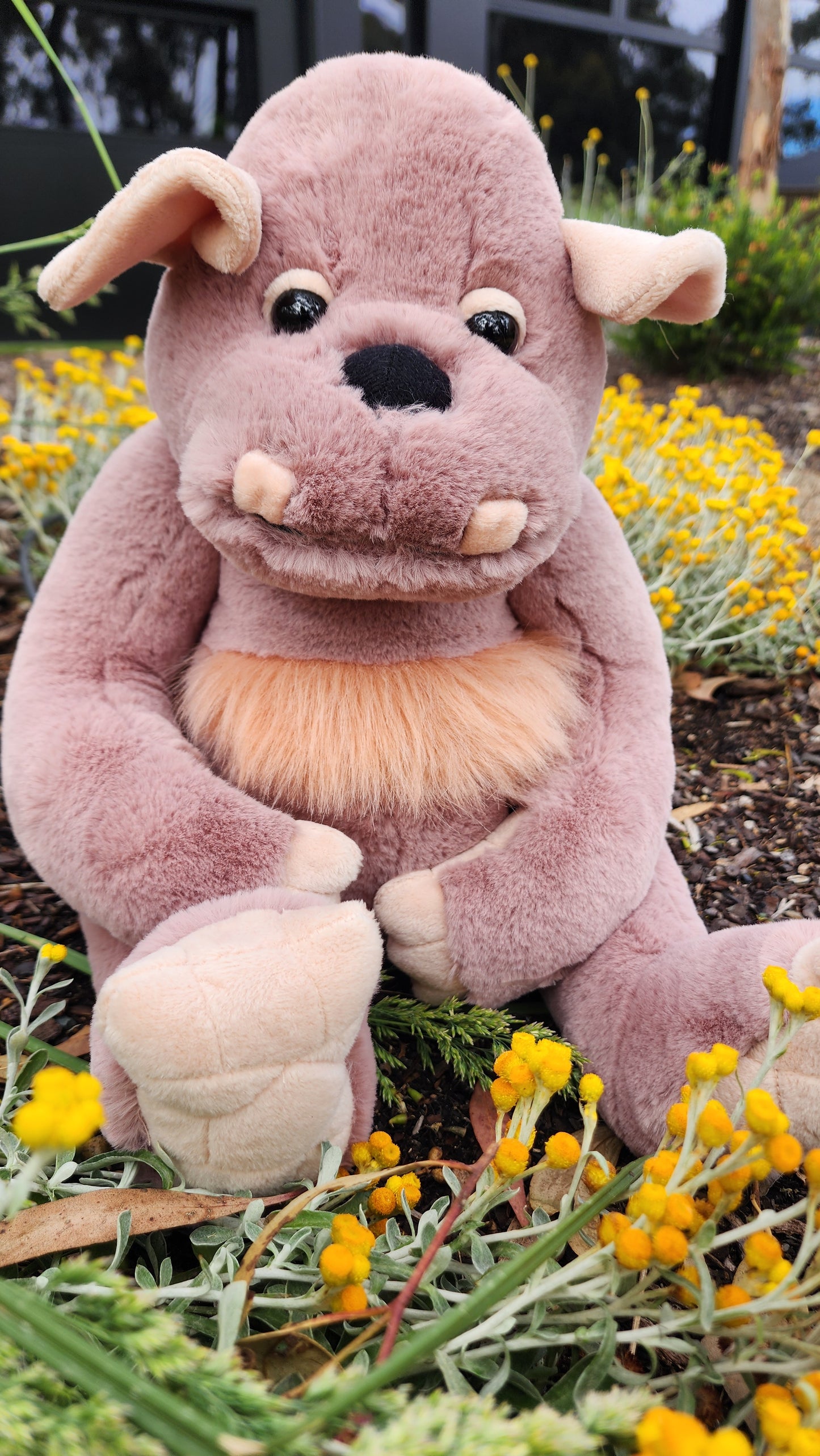 2025 CHARLIE BEARS BEARHOUSE BOULDER