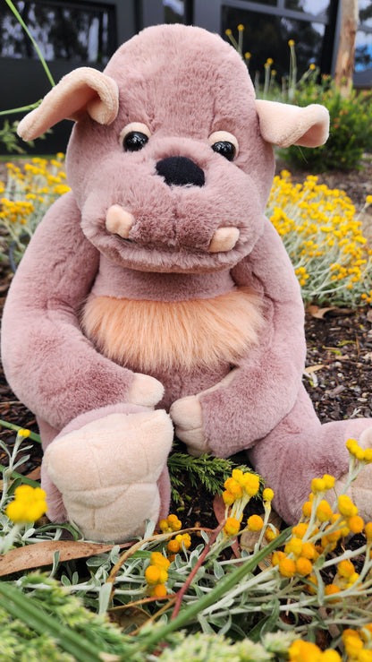 2025 CHARLIE BEARS BEARHOUSE BOULDER